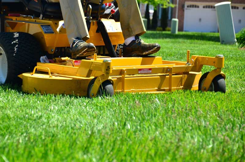 Residential Lawn Care